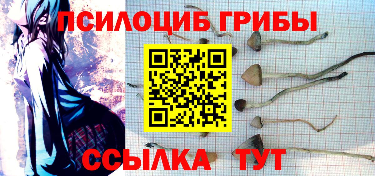 Галлюциногенные грибы мухоморы Губкин