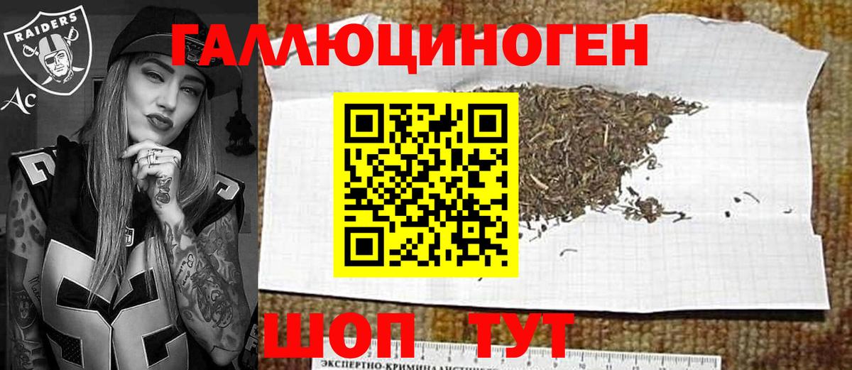 Псилоцибиновые грибы GOLDEN TEACHER  Псилоцибиновые грибы прущие грибы  Вход с VPN  Губкин 