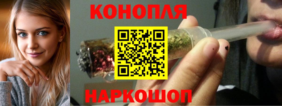 Канабис планчик Губкин