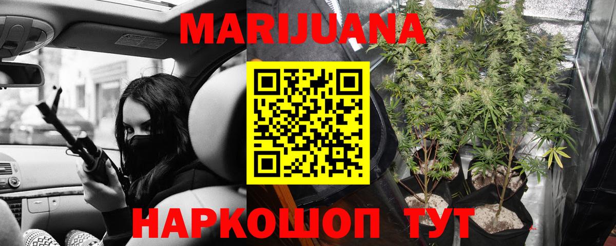 Конопля планчик  Бошки марихуана план  Бошки Шишки VHQ  Вход с VPN  Губкин 